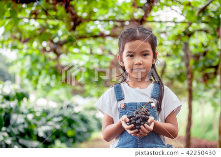 asian girl holding bunch of red grapes harvested 42250430