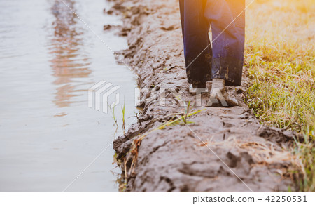 Legs in muddy of child walking in the sidewalk Legs in muddy of child walking in the sidewalk 42250531