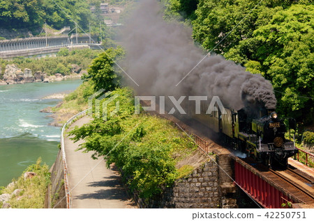 One steam whistle "SL Hitoyoshi" goes leisurely along the bank of the Rumagawa river 42250751