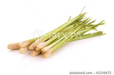Lemon grass on white background 42250872