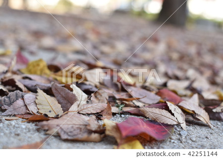 秋天結束 42251144