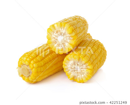 corn on white background corn on white background 42251249