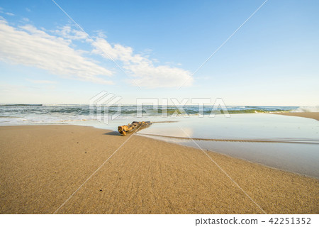 Driftwood at a beach of the Baltic Sea Driftwood at a beach of the Baltic Sea 42251352
