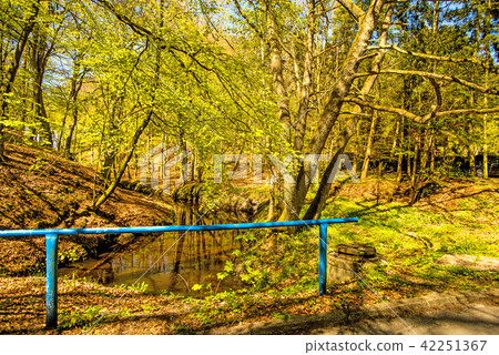 Forest in spring with blue barrier 42251367