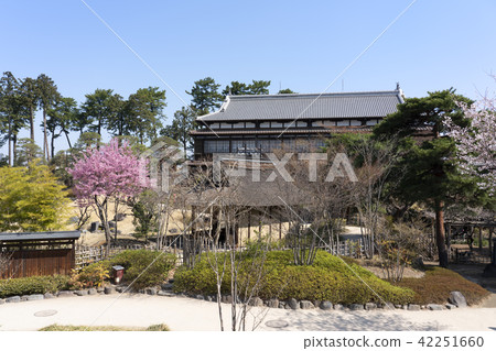 Riegaku Riegaku 42251660