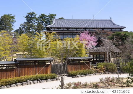 Riegaku Riegaku 42251662