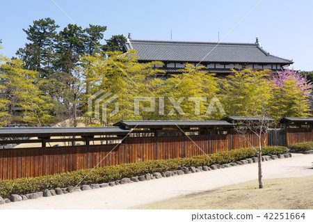 Riegaku Riegaku 42251664