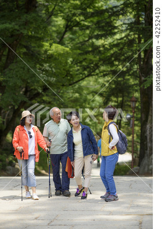 Senior Travel 42252410
