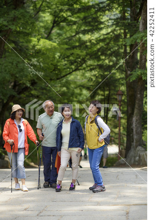 Senior Travel Senior Travel 42252411
