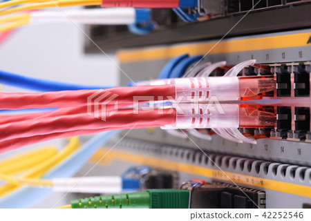 Network cables in internet data center 42252546
