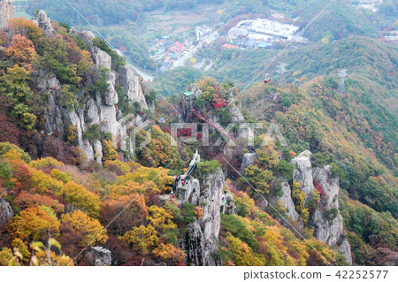 Beautiful autumn mountain with colored leaves 42252577