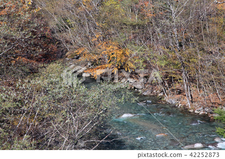 Nishizawa Valley Autumn leaves 42252873