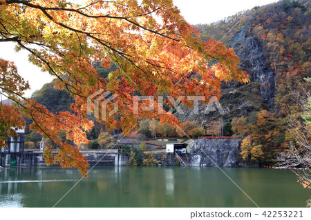 Autumn leaves of Hirose Lake Autumn leaves of Hirose Lake 42253221