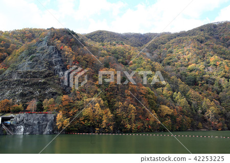Autumn leaves of Hirose Lake Autumn leaves of Hirose Lake 42253225