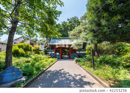 川越市東照宮的森巴分化門 42253256