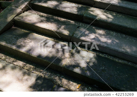The stone steps of Senba Toshogu, where the sunlight leaks through 42253269