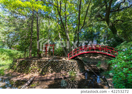 Scenery of Kawagoe City Itsukushima Benzaiten 42253272