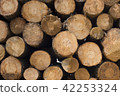 Wood log pile background for lumber industry 42253324