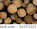 Wood log texture of wooden tree trunks 42253325