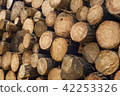 Wood log texture of wooden tree trunks 42253326