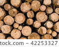 Wood log pile background for lumber industry 42253327