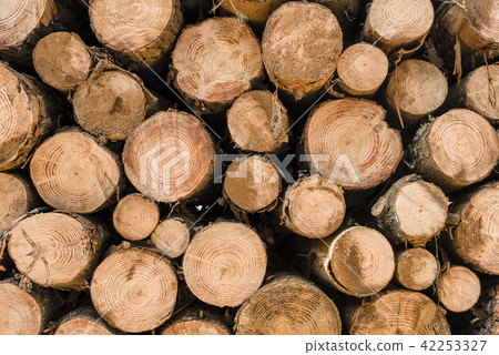 Wood log pile background for lumber industry Wood log pile background for lumber industry 42253327
