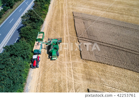 Aerial view on combine harvester working on the large wheat field in Germany Aerial view on combine harvester working on the large wheat field in Germany 42253761