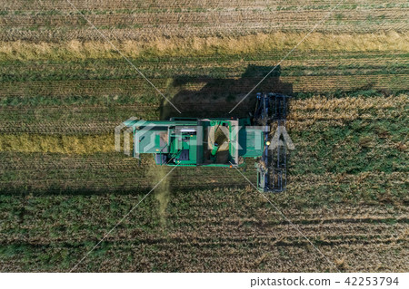 Aerial view on combine harvester working on the large wheat field in Germany Aerial view on combine harvester working on the large wheat field in Germany 42253794