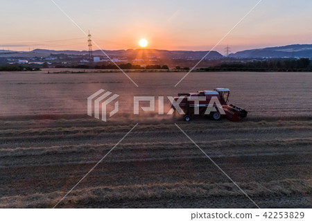 Aerial view of combine harvester harvesting an oats crop at sunset 42253829