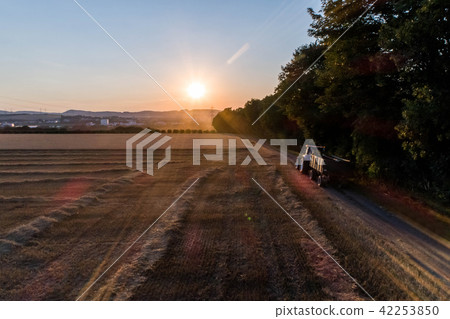 Aerial view of combine harvester harvesting an oats crop at sunset 42253850