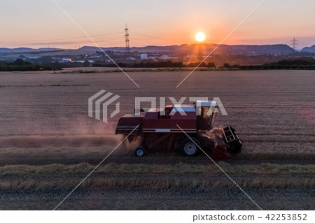 Aerial view of combine harvester harvesting an oats crop at sunset 42253852