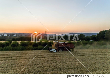 Aerial view of combine harvester harvesting an oats crop at sunset 42253859