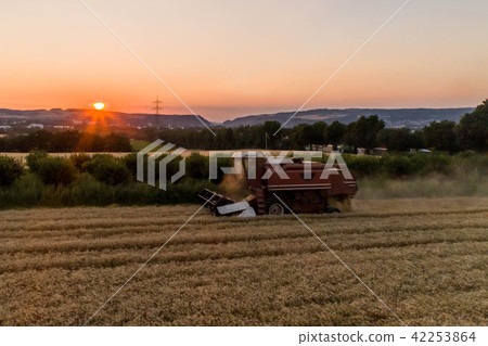 Aerial view of combine harvester harvesting an oats crop at sunset Aerial view of combine harvester harvesting an oats crop at sunset 42253864