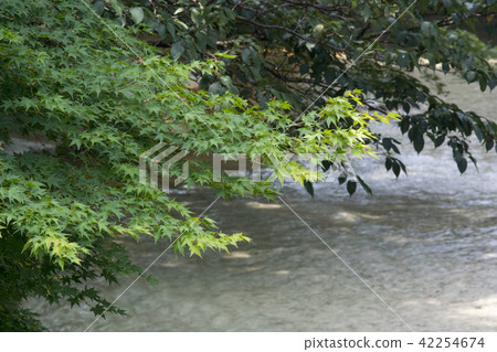 Clear flow and green Clear flow and green 42254674