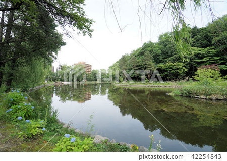 月亮冷的公園小船池塘周圍的景觀 42254843