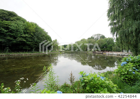 月亮冷的公園小船池塘周圍的景觀 42254844