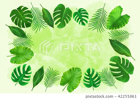Summer Background - Tropical Plant Illustrated Background 42255861