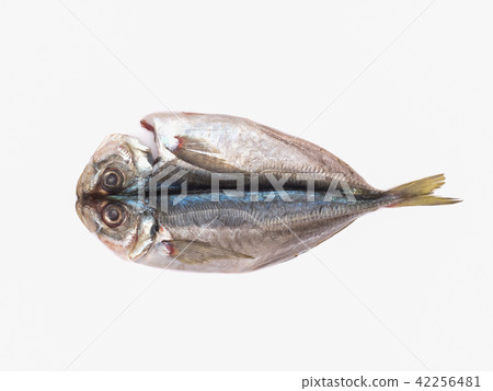 Dried horse mackerel 42256481