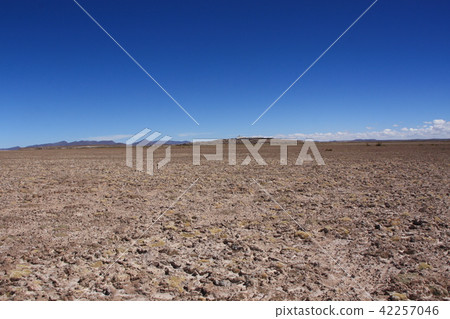 Uyuni salt lake   42257046