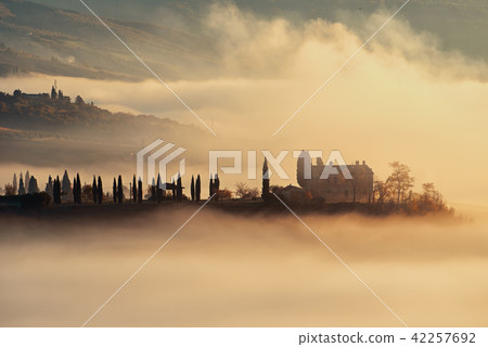 Drowned in the fog Drowned in the fog 42257692