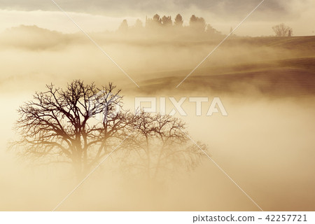 Drowned in the fog 42257721