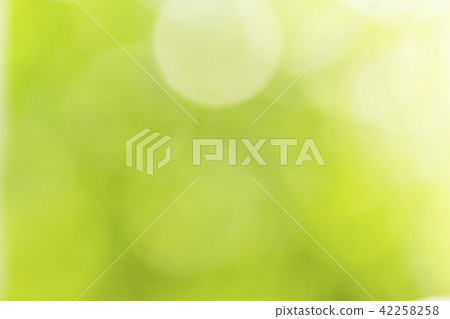 Natural green blurred background Natural green blurred background 42258258