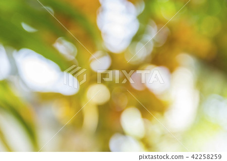 Natural green blurred background Natural green blurred background 42258259