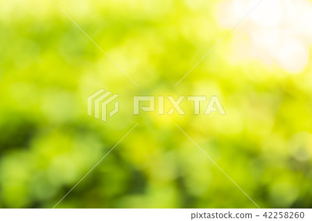 Natural green blurred background Natural green blurred background 42258260