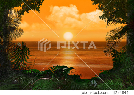 Sunset and jungle 42258443