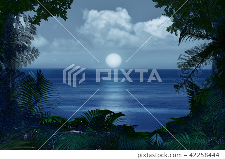 傍晚的天空和叢林 42258444