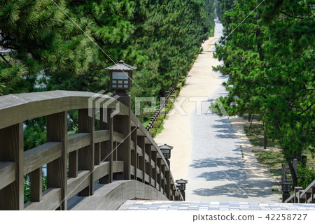 Soka Matsubara of Nikko Highway 42258727