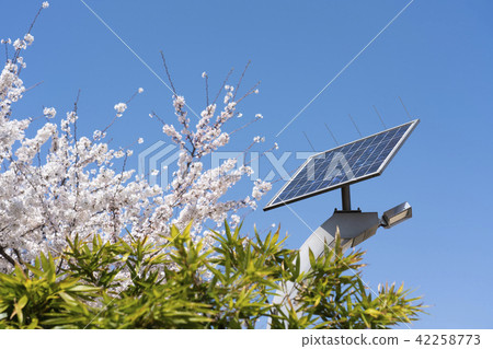 solar panel solar panel 42258773