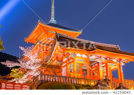 清水寺,三塔和夜櫻花照亮(京都市京都市東山區清水)*照片在註釋部分中的位置 清水寺,三塔和夜櫻花照亮(京都市京都市東山區清水)*照片在註釋部分中的位置 42259045