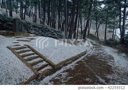 福井縣酒井市Tozbosho Araiso Promenade雪風暴 福井縣酒井市Tozbosho Araiso Promenade雪風暴 42259312